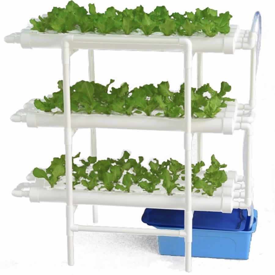 Home Hydroponic Kit - 36-cup-system: image 22