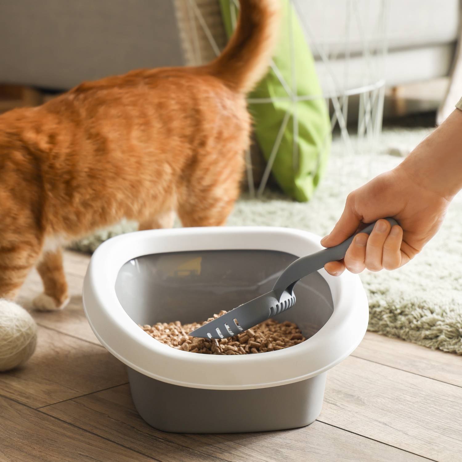 Organic Cat Litter | Bamboo Kitty Litter | Eco Friendly Litter For Cats: image 6