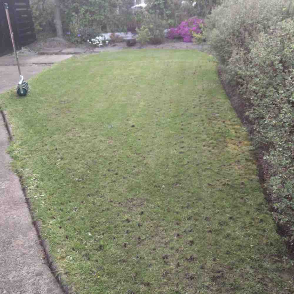 Rolling Aerator | Grass Aerator Roller | Aeration Roller For Lawn: image 6