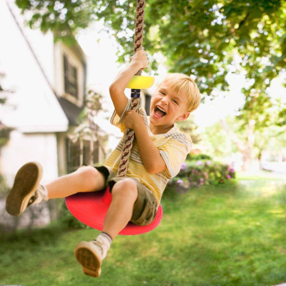 Single Disc Seat & Climbing Rope | Jungle Gym Tree Swing | Rope Swing