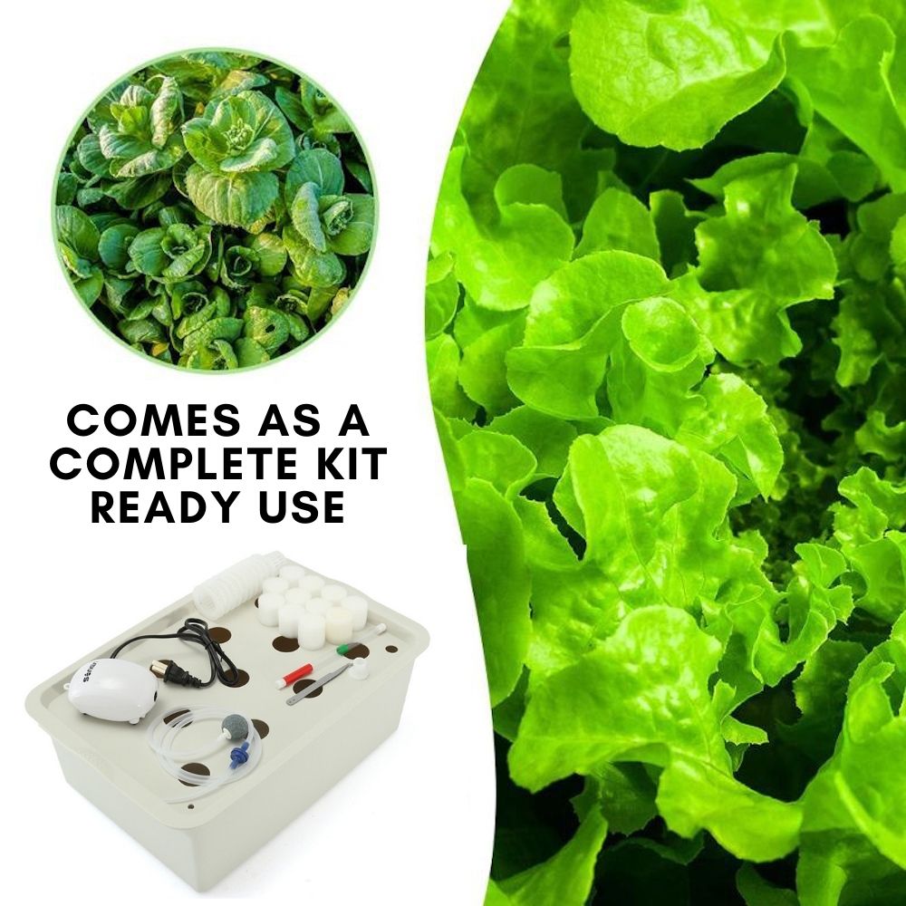 Deep Water Culture Kit | DWC Hydroponic System | Home Hydroponic DWC Kit: image 4