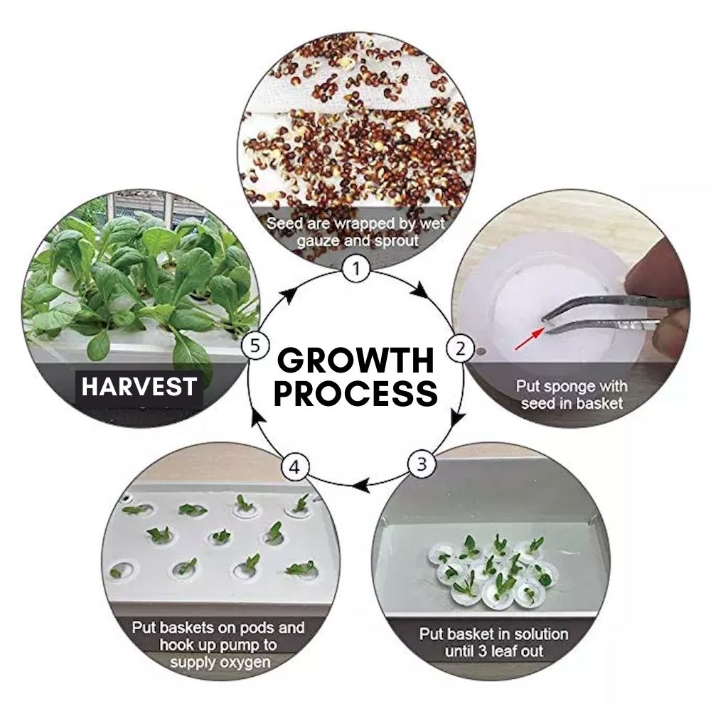 Deep Water Culture Kit | DWC Hydroponic System | Home Hydroponic DWC Kit: image 8