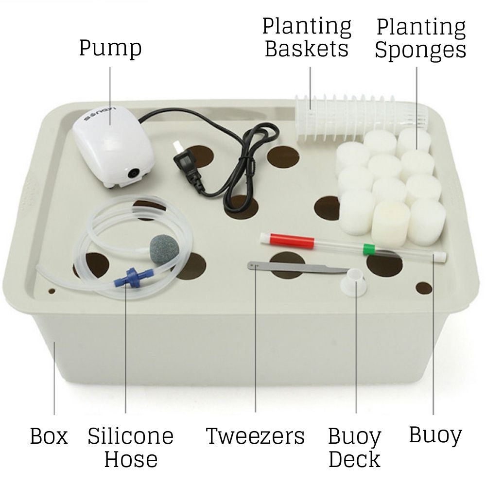 Deep Water Culture Kit | DWC Hydroponic System | Home Hydroponic DWC Kit: image 9