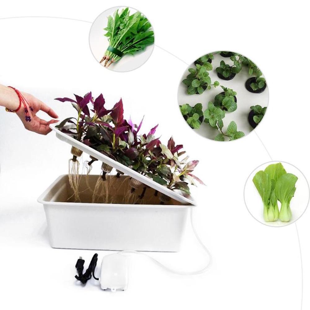 Deep Water Culture Kit | DWC Hydroponic System | Home Hydroponic DWC Kit
