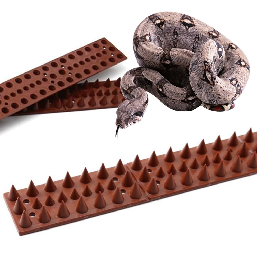 Snake Spikes | Snake Deterrent | Spikes To Deter Snakes