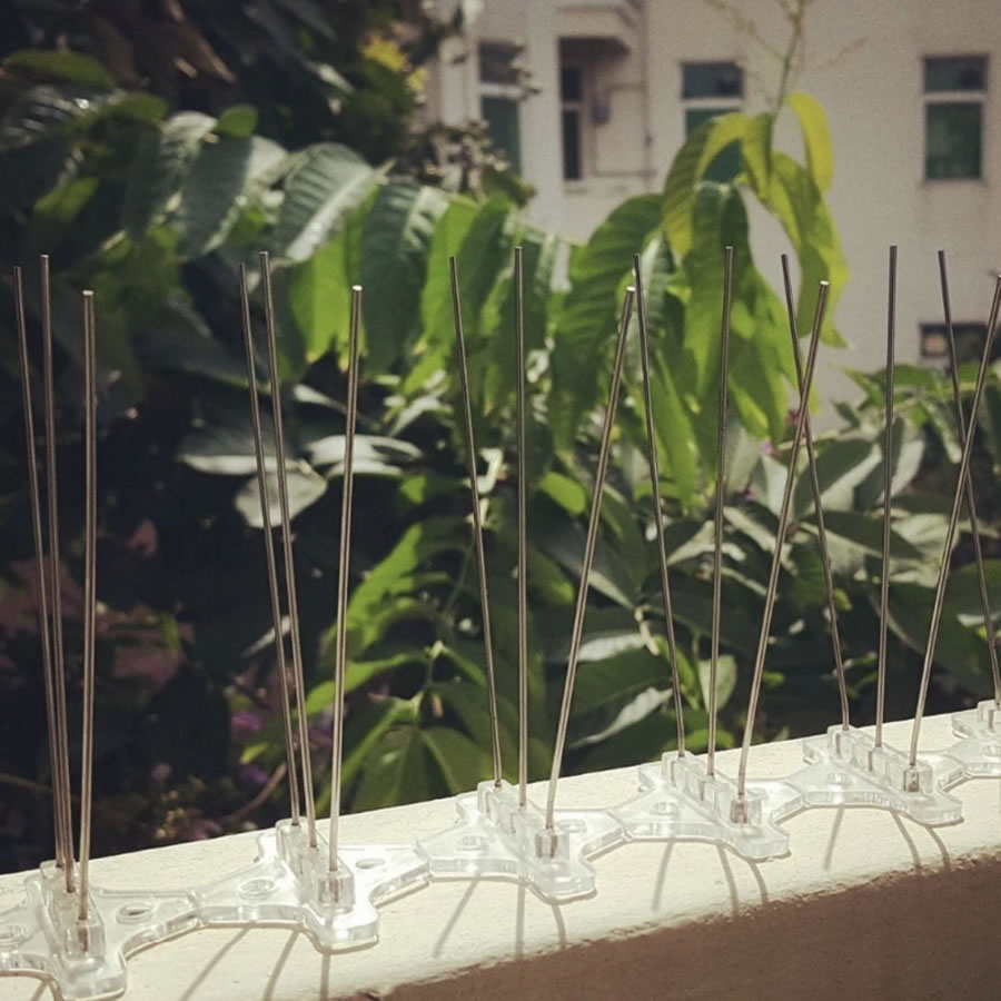 Bird Pigeon Spikes | Bird Prevention Spikes | Bird Stoppers: image 5