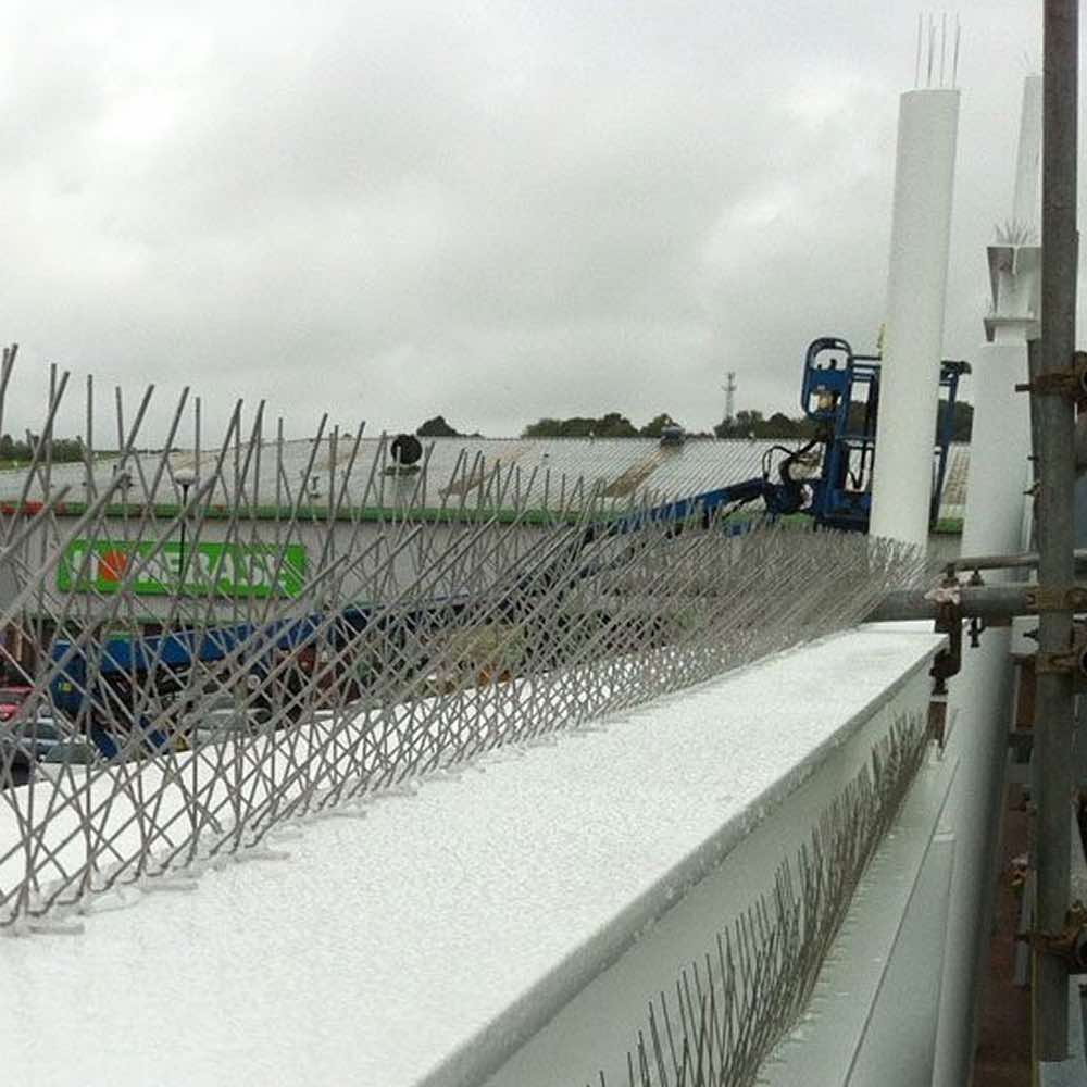 Bird Pigeon Spikes | Bird Prevention Spikes | Bird Stoppers: image 7