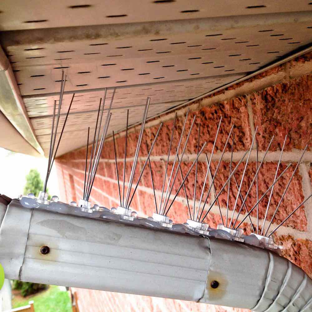 Bird Pigeon Spikes | Bird Prevention Spikes | Bird Stoppers: image 8