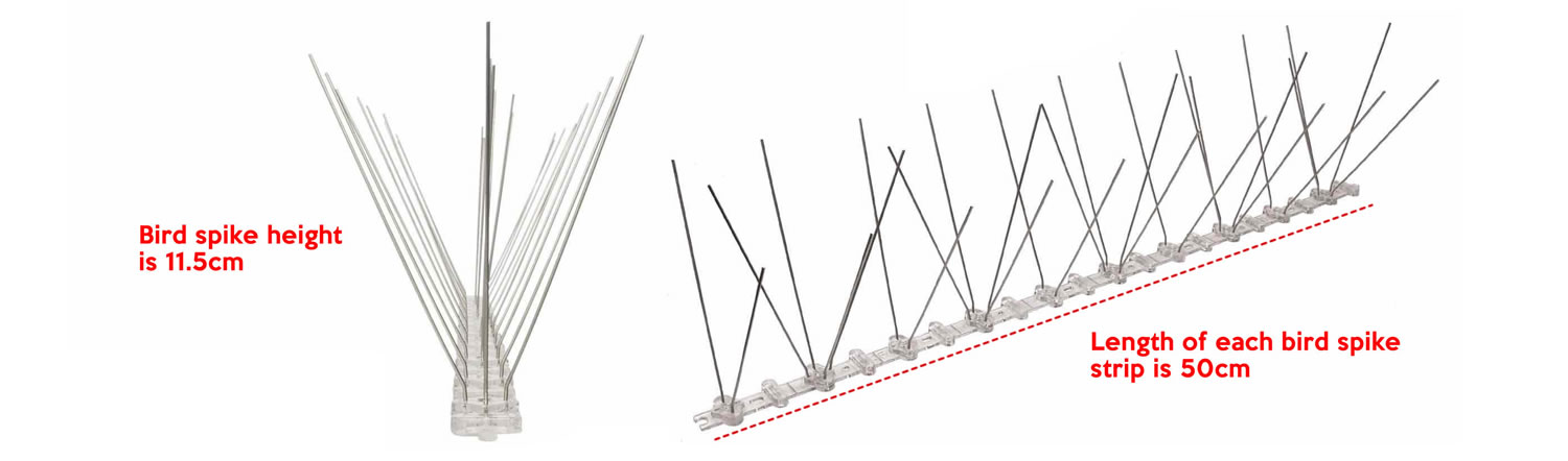 Bird Pigeon Spikes | Bird Prevention Spikes | Bird Stoppers: image 9