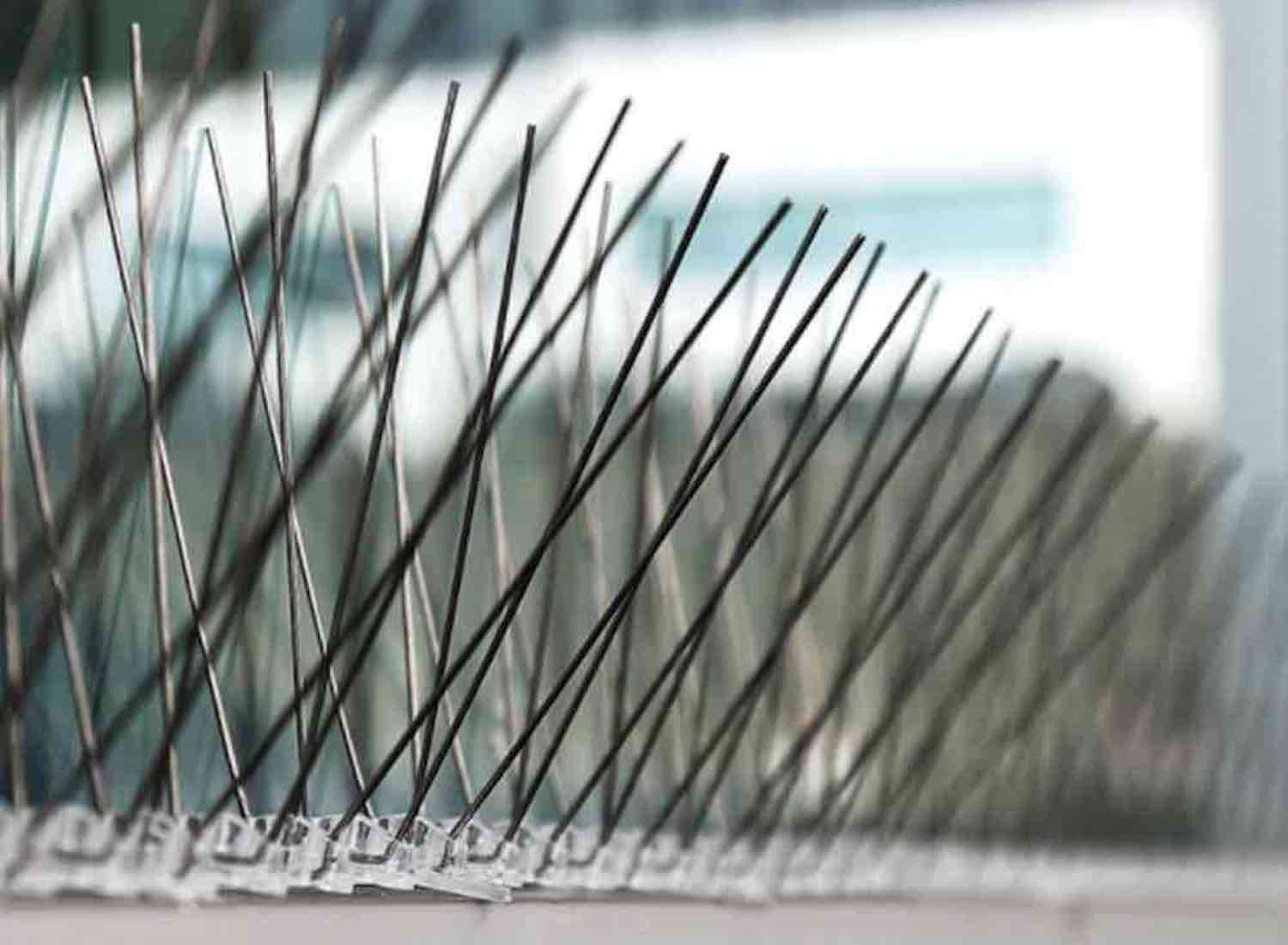 Bird Pigeon Spikes | Bird Prevention Spikes | Bird Stoppers