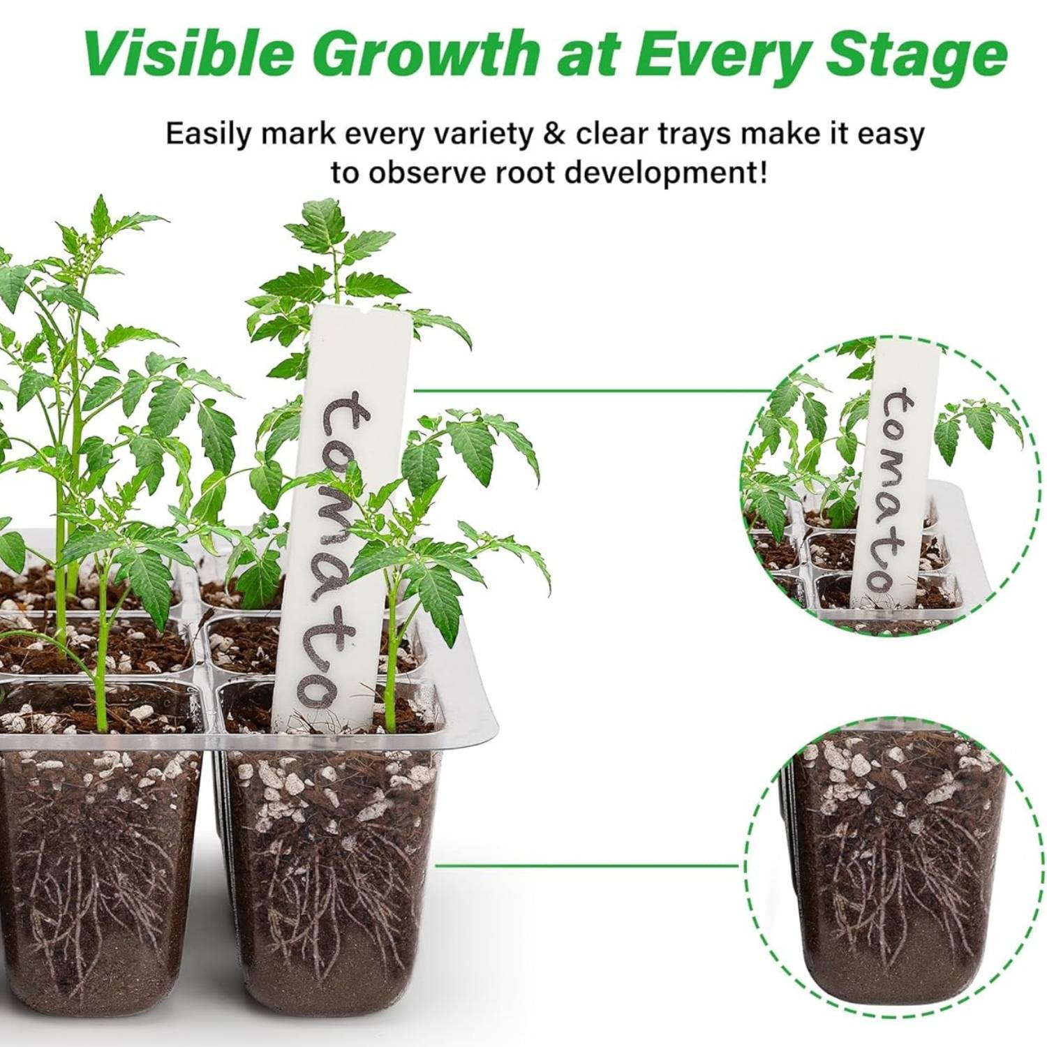 Starter Trays For Seeds | Plant Seedling Trays | Seedling Trays With Lids: image 4