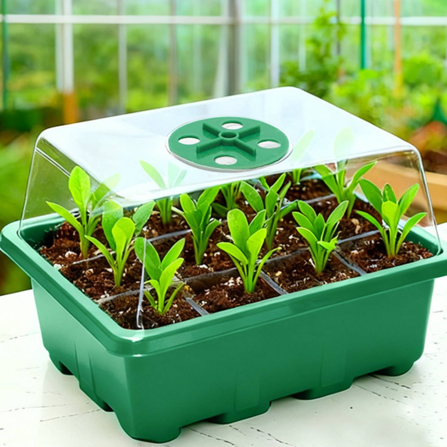 Starter Trays For Seeds | Plant Seedling Trays | Seedling Trays With Lids: image 6