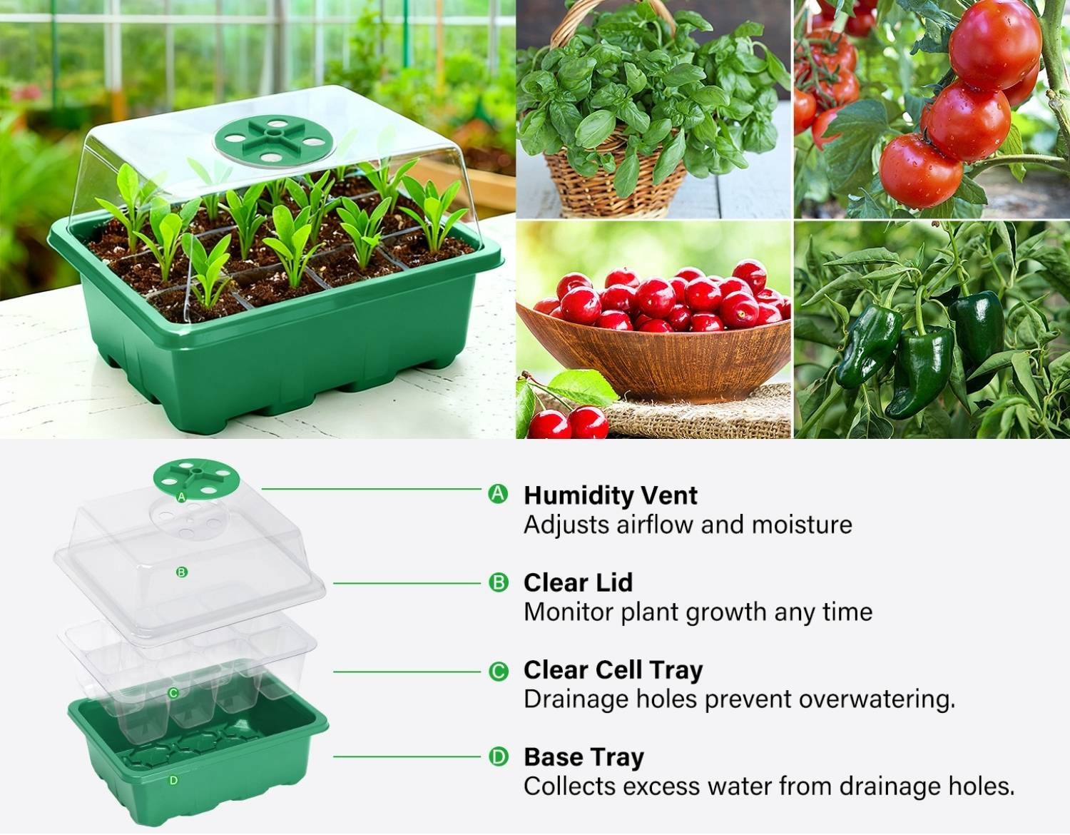 Starter Trays For Seeds | Plant Seedling Trays | Seedling Trays With Lids: image 11