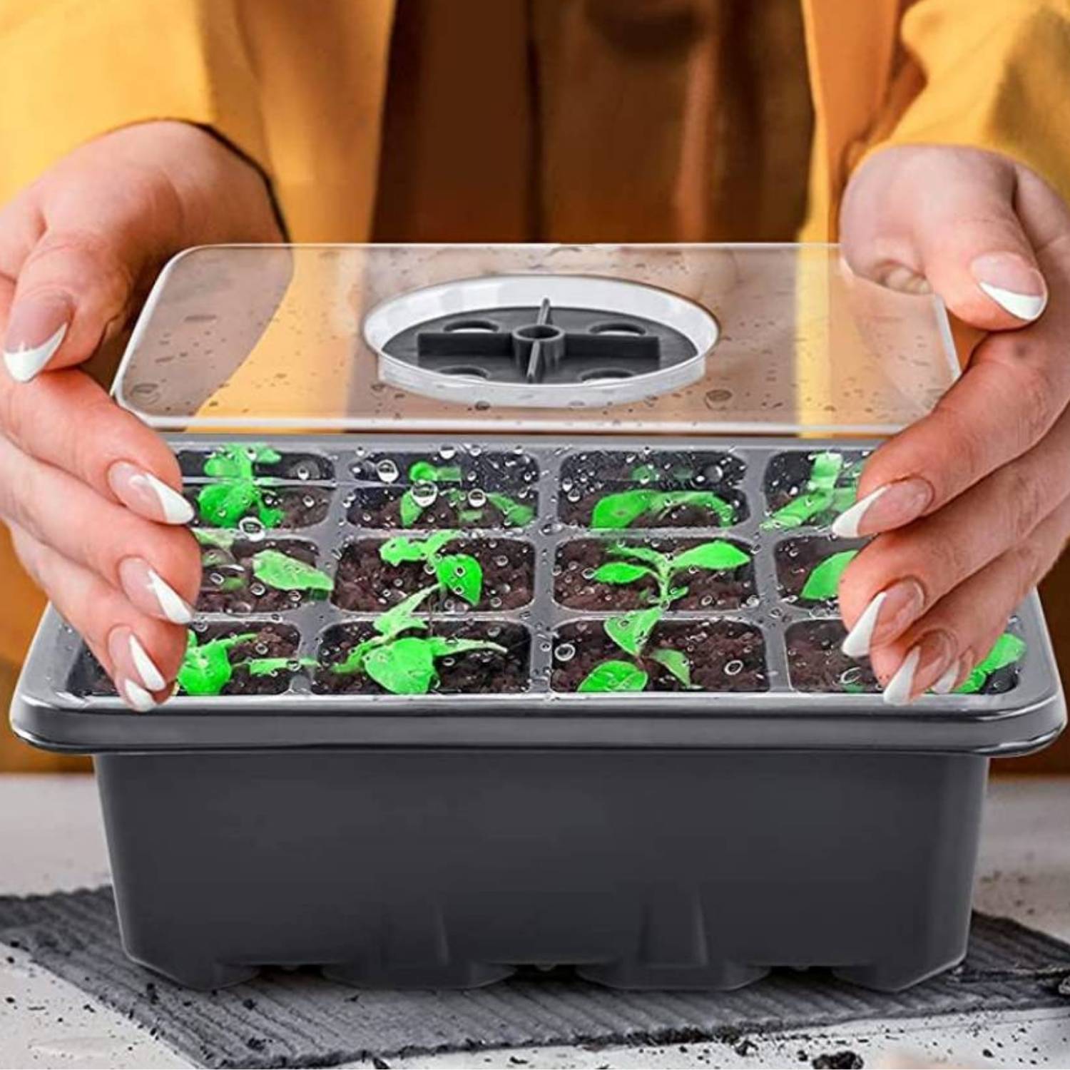 Starter Trays For Seeds | Plant Seedling Trays | Seedling Trays With Lids: image 19
