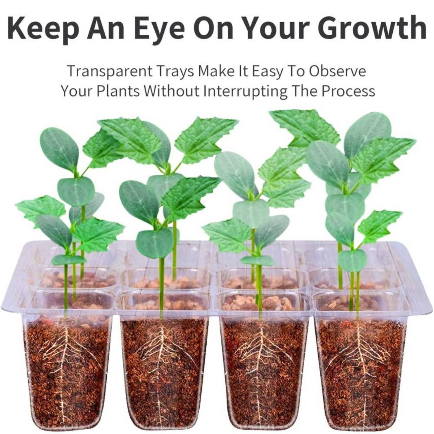 Starter Trays For Seeds | Plant Seedling Trays | Seedling Trays With Lids: image 27