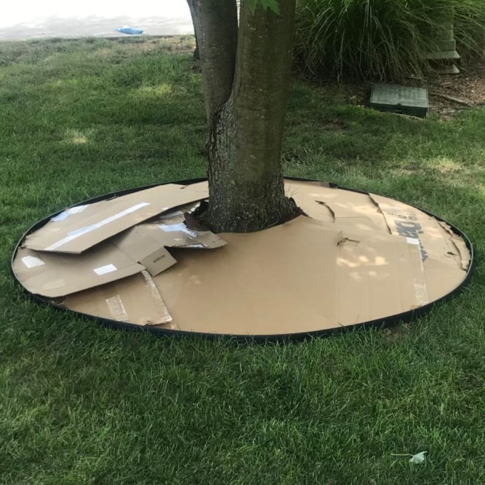 Plastic Lawn Edging - 2" Face Height (per ft): image 18