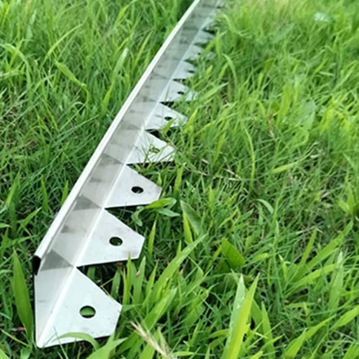 Stainless Steel Garden Edge - 2" Face Height (per ft): image 19