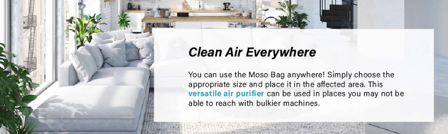 Air Purifying Bag - Single Bag (x1): image 25