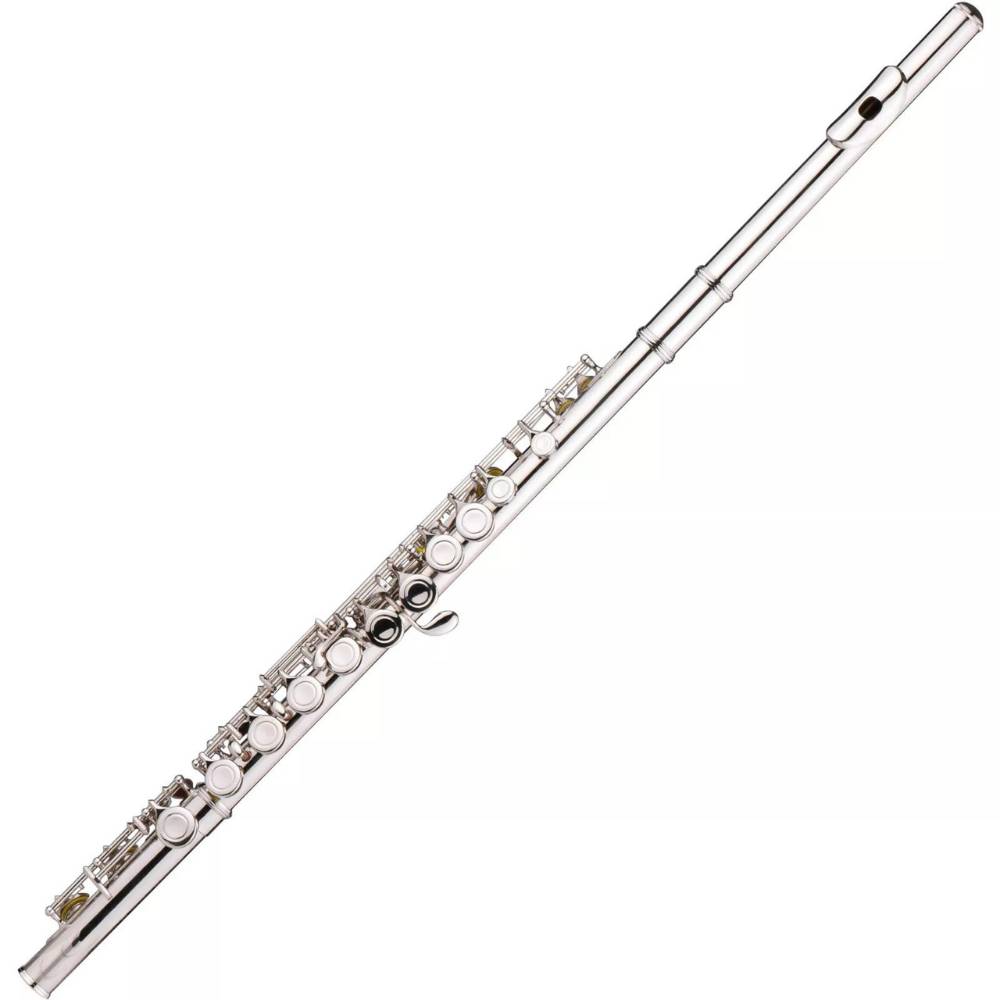 Instrument Flute | Flute Musical Instrument | Beginner Flute: image 5