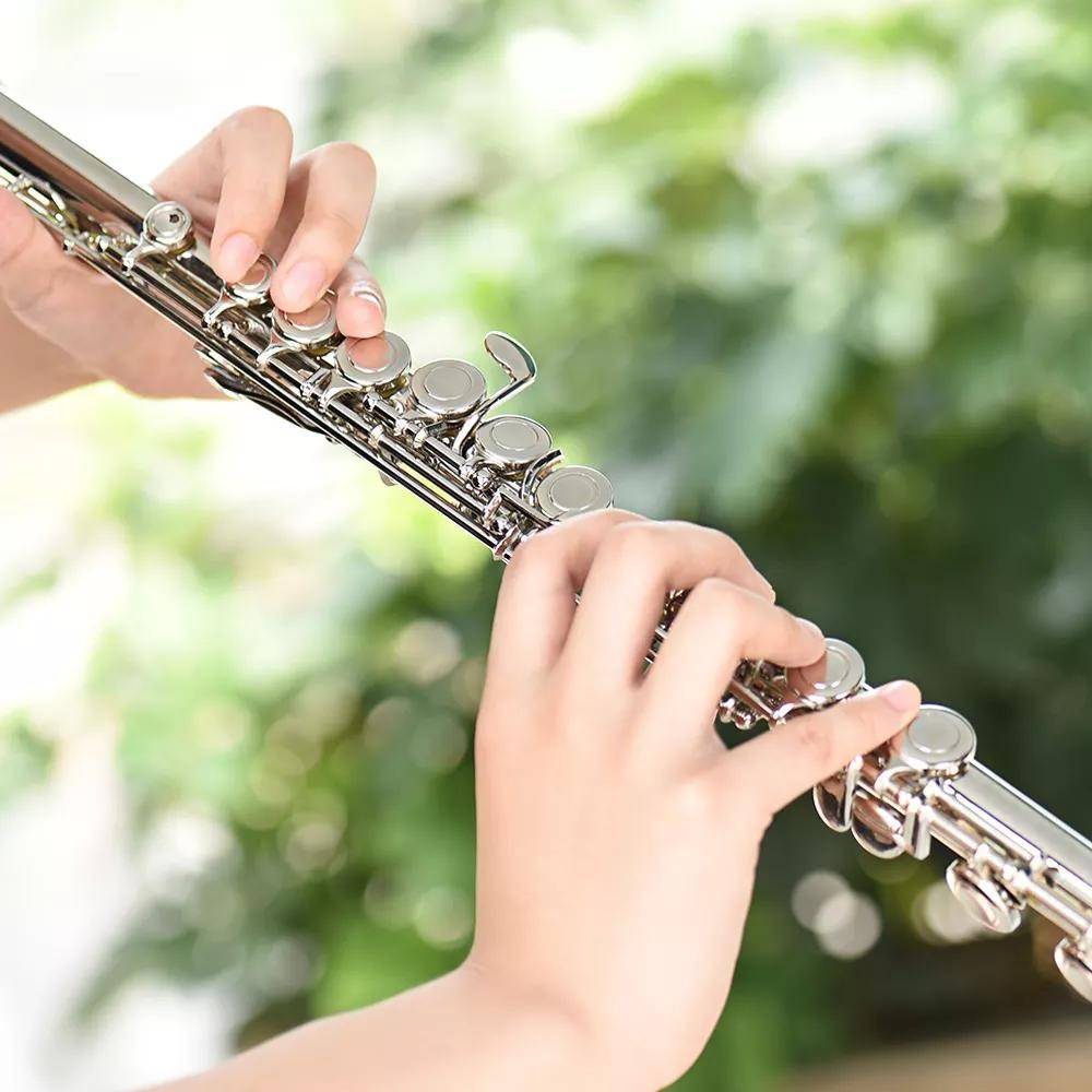 Instrument Flute | Flute Musical Instrument | Beginner Flute: image 1