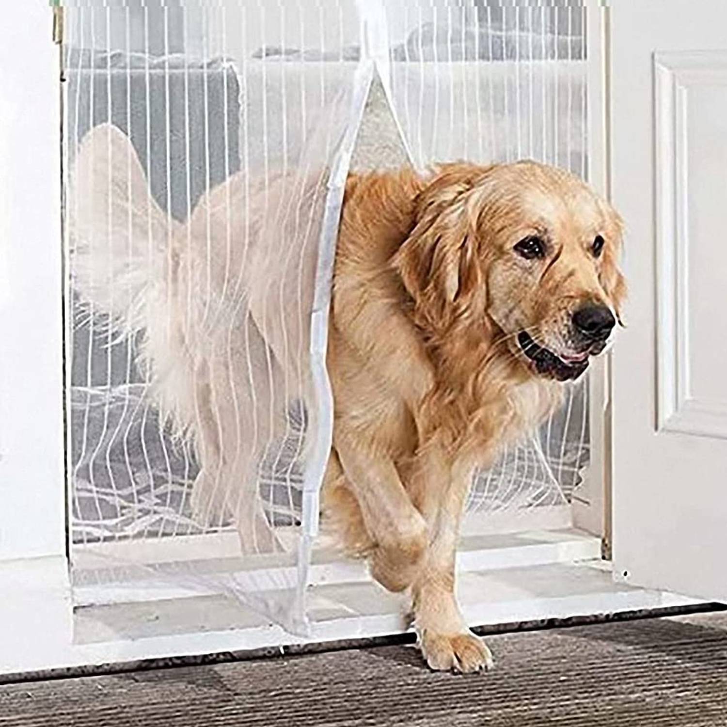 White Door Screen - 23-6-x-82-6: image 4