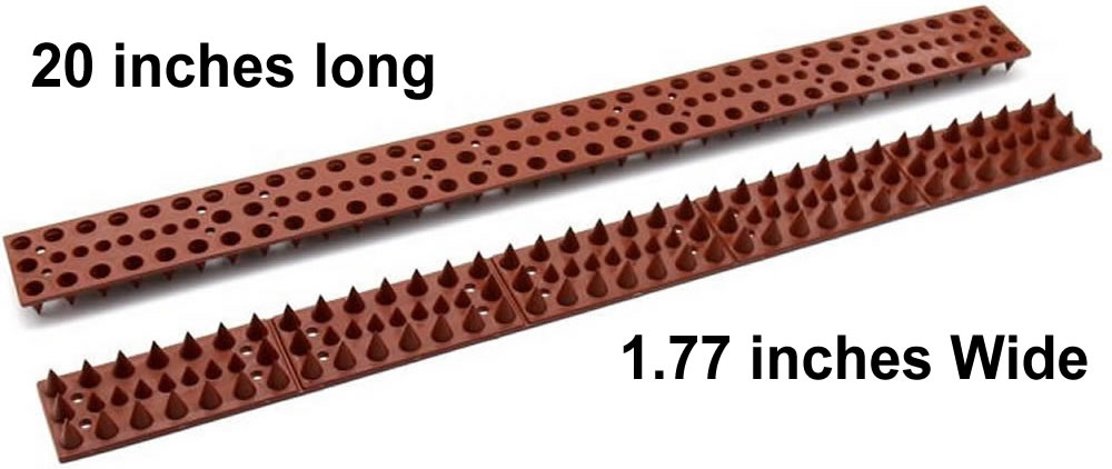 where to buy pest control spike strips