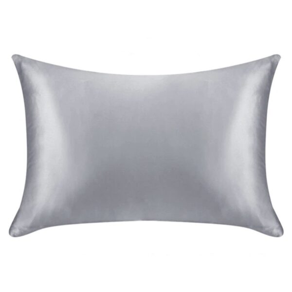 silver silk pillowcase 2